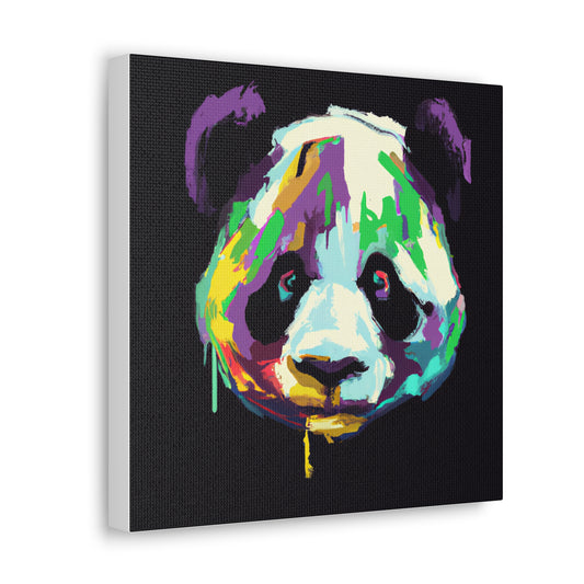 Colorful Panda Graffiti