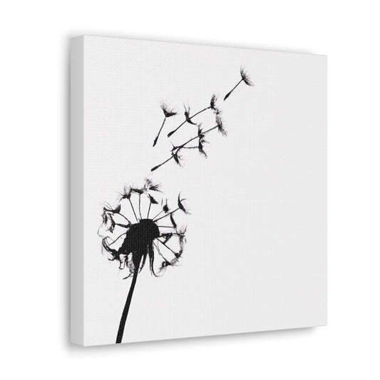 Abstract Black & White Dandelion